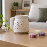 Cirisnat : Avis Diffuseur électrique capsule Cires Parfumés